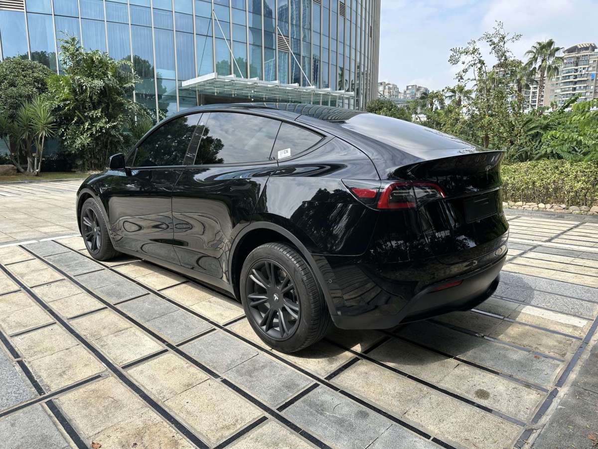 特斯拉 Model Y  2021款 長續(xù)航全輪驅動版圖片