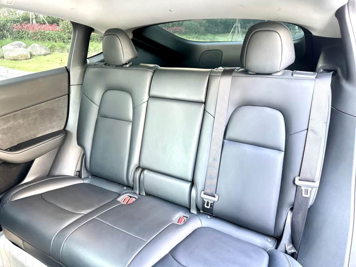 特斯拉 Model Y  2021款 標(biāo)準(zhǔn)續(xù)航后驅(qū)版圖片