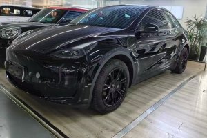 Model Y 特斯拉 后轮驱动版