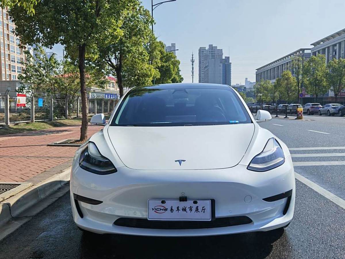 特斯拉 Model 3  2019款 標(biāo)準(zhǔn)續(xù)航后驅(qū)升級(jí)版圖片