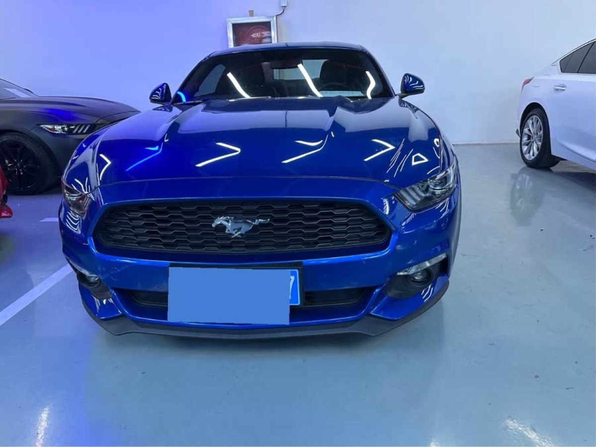 福特 Mustang  2015款 2.3T 性能版圖片