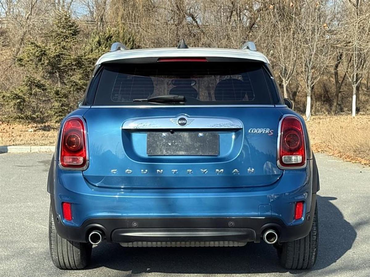 MINI COUNTRYMAN  2019款 2.0T COOPER S ALL4 藝術(shù)家圖片