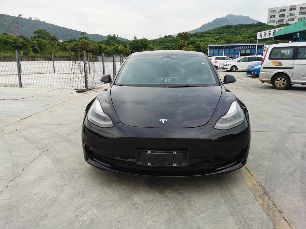 特斯拉 Model 3  2021款 標(biāo)準(zhǔn)續(xù)航后驅(qū)升級版 3D6圖片