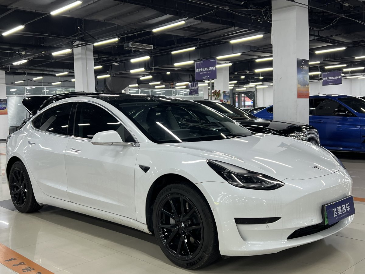 特斯拉 Model 3  2019款 標(biāo)準(zhǔn)續(xù)航后驅(qū)升級版圖片