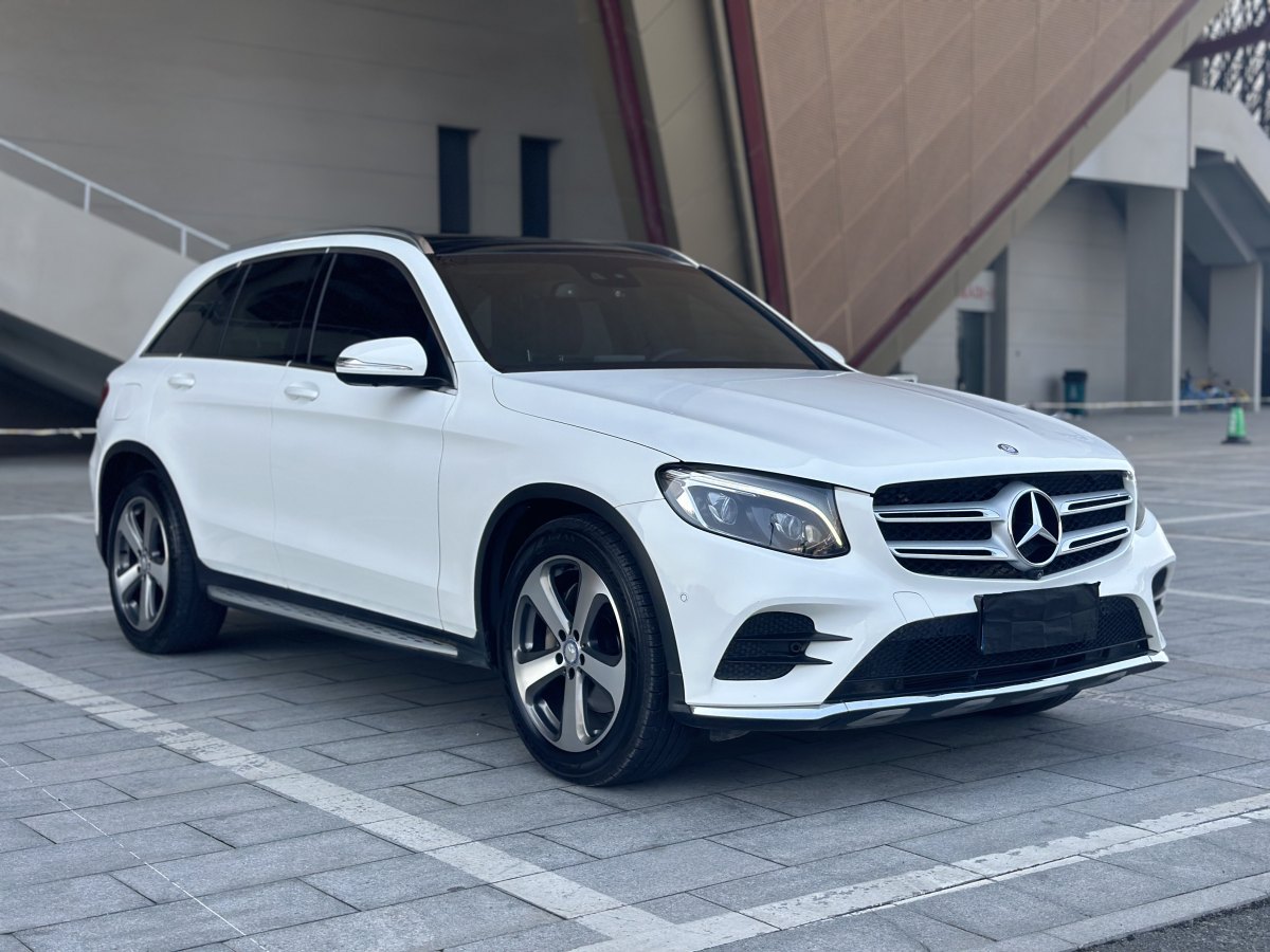 2017年2月奔馳 奔馳GLC  2017款 GLC 300 4MATIC 動(dòng)感型