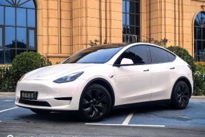 Model Y 特斯拉 后輪驅(qū)動版
