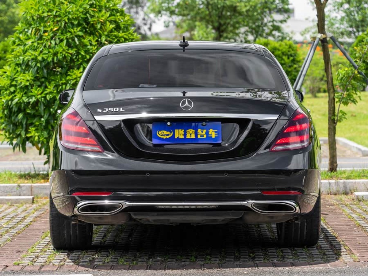 奔馳 奔馳S級  2020款 S 350 L 商務型 臻藏版圖片