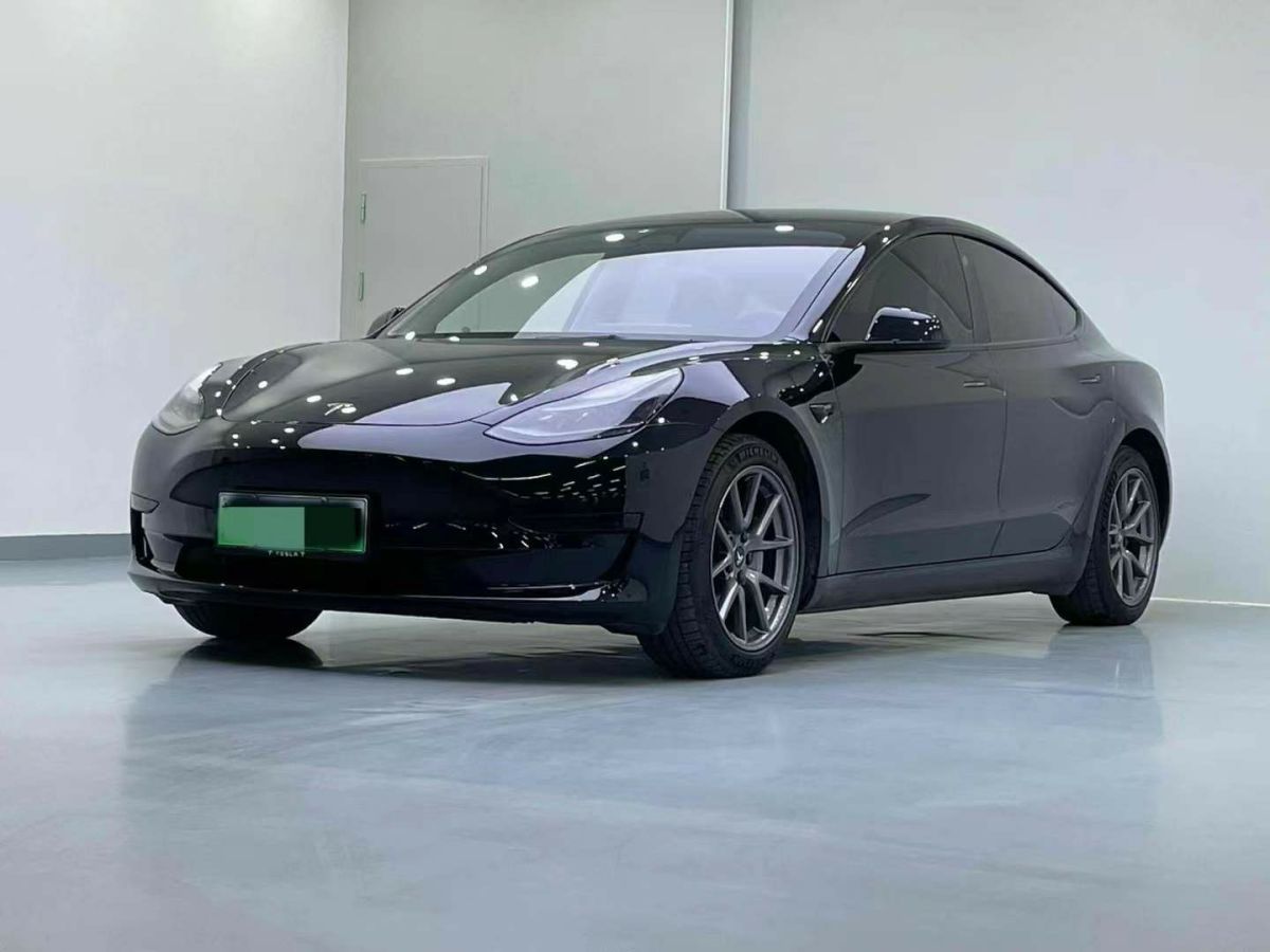 特斯拉 Model S  2023款 三電機(jī)全輪驅(qū)動(dòng) Plaid版圖片