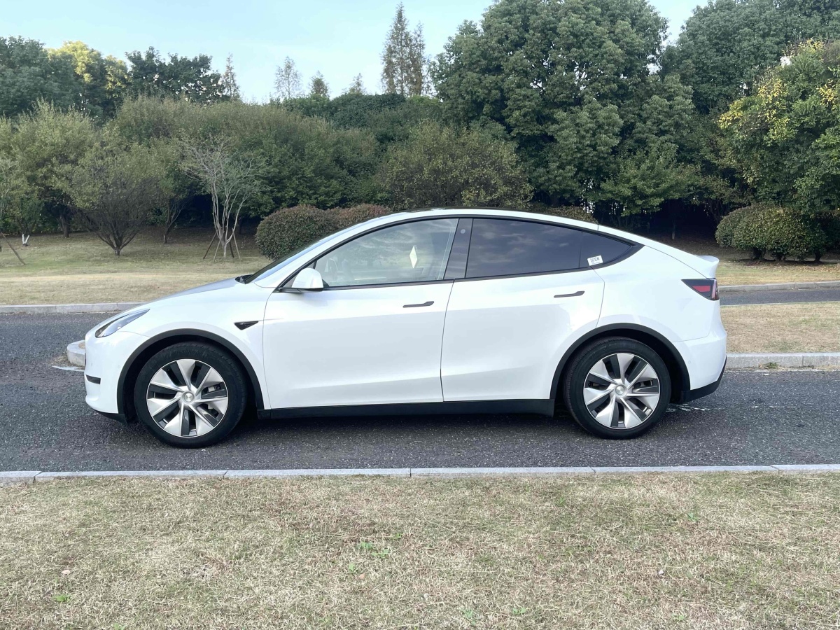 特斯拉 Model Y  2021款 改款 標準續(xù)航后驅升級版圖片