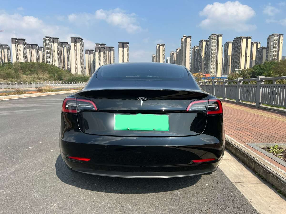 特斯拉 Model 3  2021款 标准续航后驱版图片