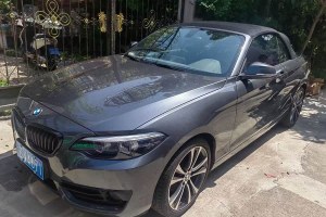 寶馬2系 寶馬  225i 敞篷轎跑車 運動設(shè)計套裝