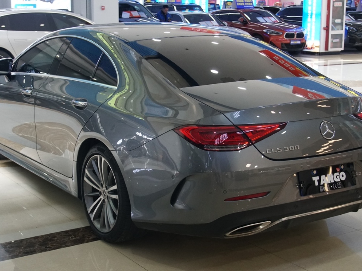 2019年11月奔馳 奔馳CLS級(jí)  2020款 CLS 300 豪華型