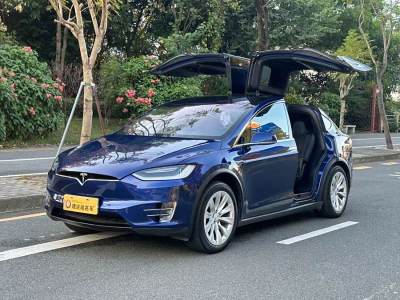 2017年9月 特斯拉 Model X Model X 90D圖片