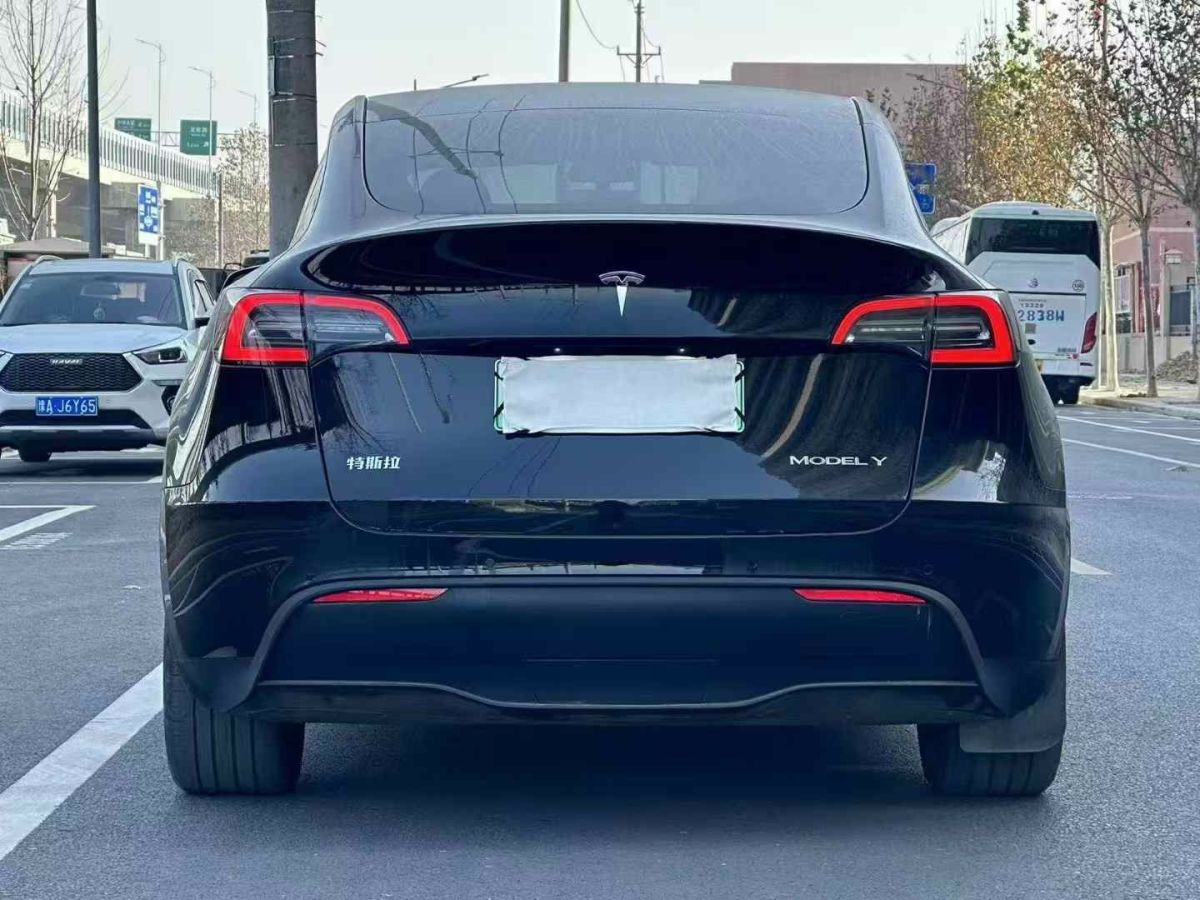 特斯拉 Model Y  2024款 Performance高性能版圖片