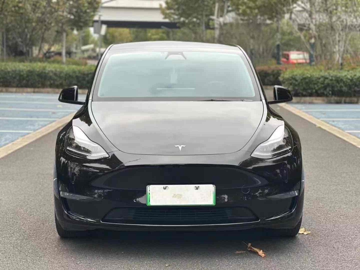 特斯拉 Model 3  2021款 改款 Performance高性能全輪驅(qū)動(dòng)版圖片