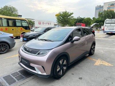 2022年10月 比亞迪 海豚 401km 騎士版圖片