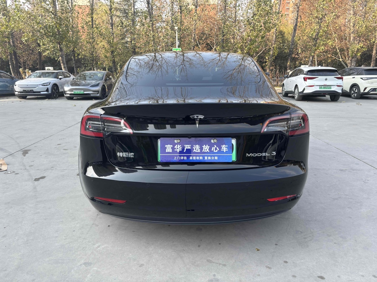 特斯拉 Model 3  2021款 標(biāo)準(zhǔn)續(xù)航后驅(qū)升級版 3D6圖片