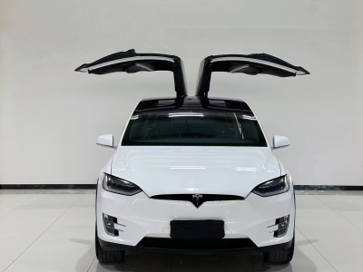 2017年1月 特斯拉 Model X Model X 90D圖片