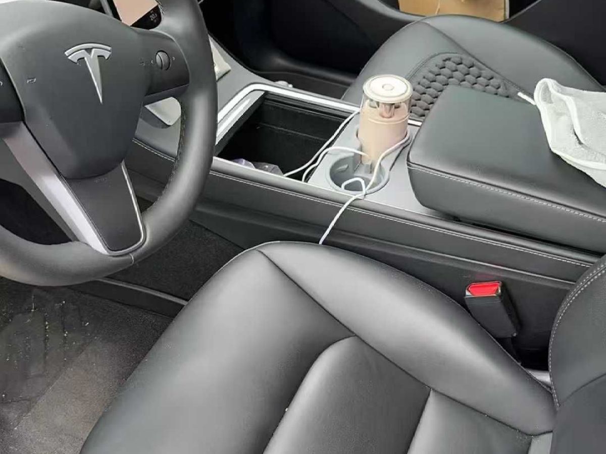 特斯拉 Model Y  2024款 Performance高性能版圖片