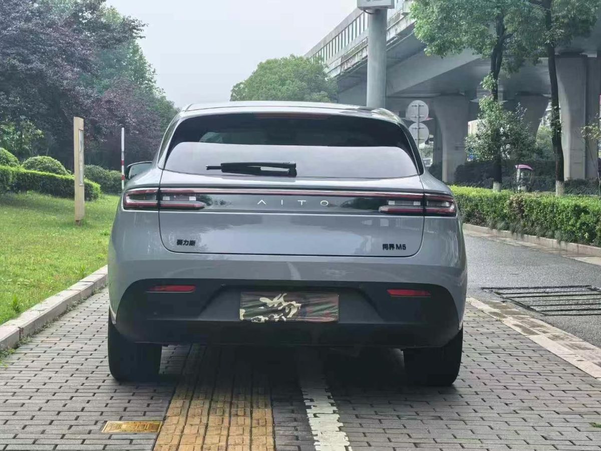 東風(fēng)風(fēng)行 菱智  2024款 M5 1.6L 標(biāo)準(zhǔn)型5座CNG圖片