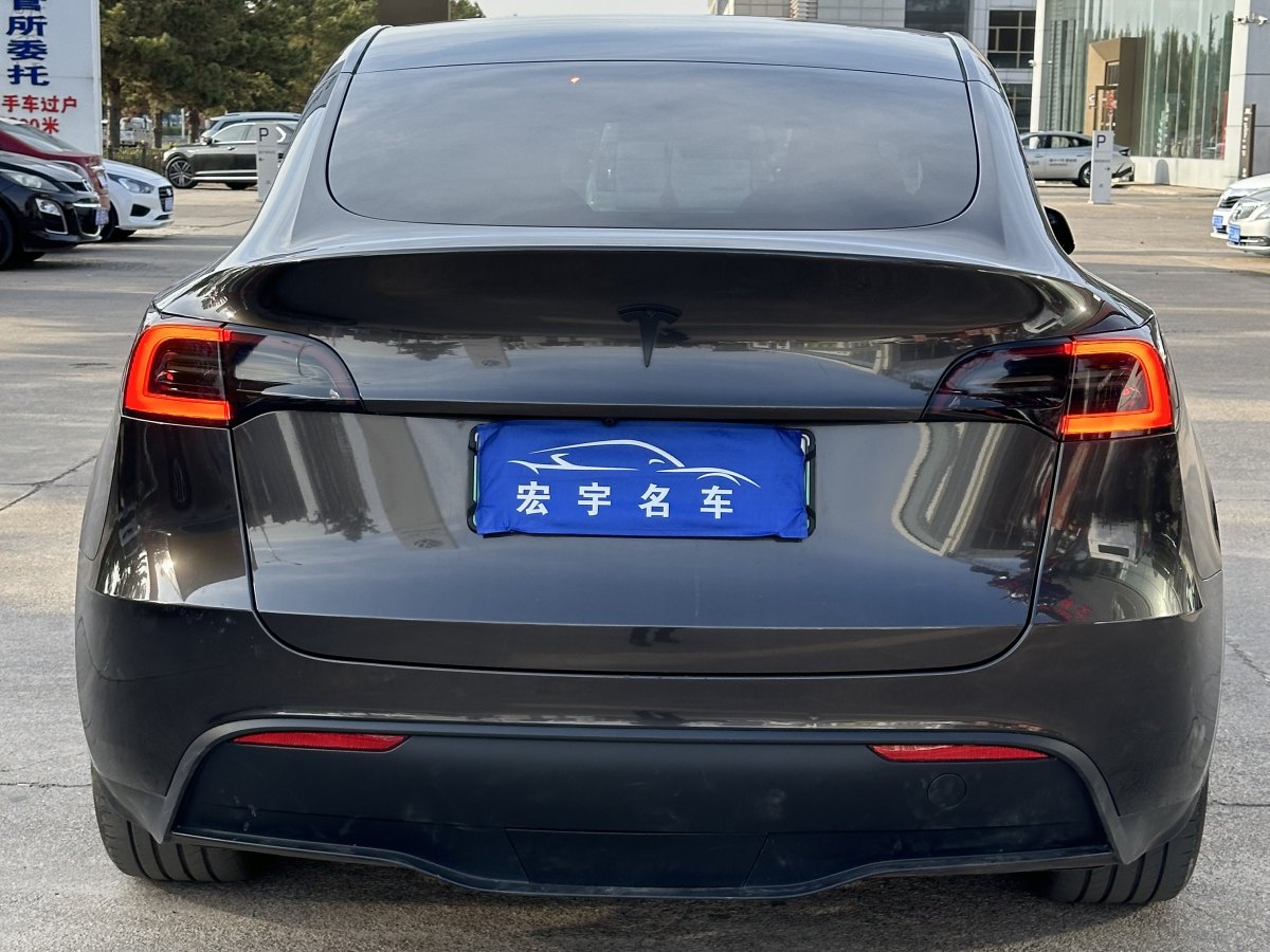 特斯拉 Model Y  2020款 改款 長續(xù)航后輪驅(qū)動版圖片