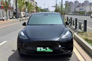 Model Y 特斯拉 Performance高性能全輪驅(qū)動(dòng)版
