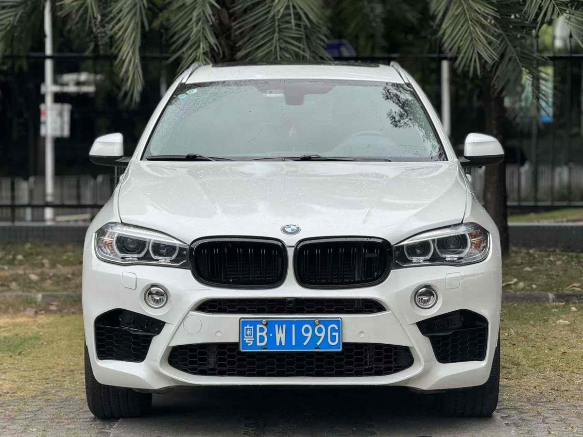 寶馬 寶馬X6  2015款 xDrive35i 豪華型圖片