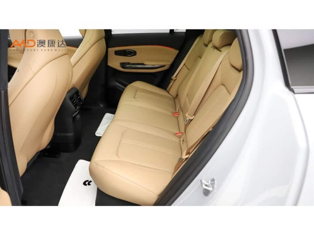 蔚來 ES6  2020款 610KM 性能版圖片