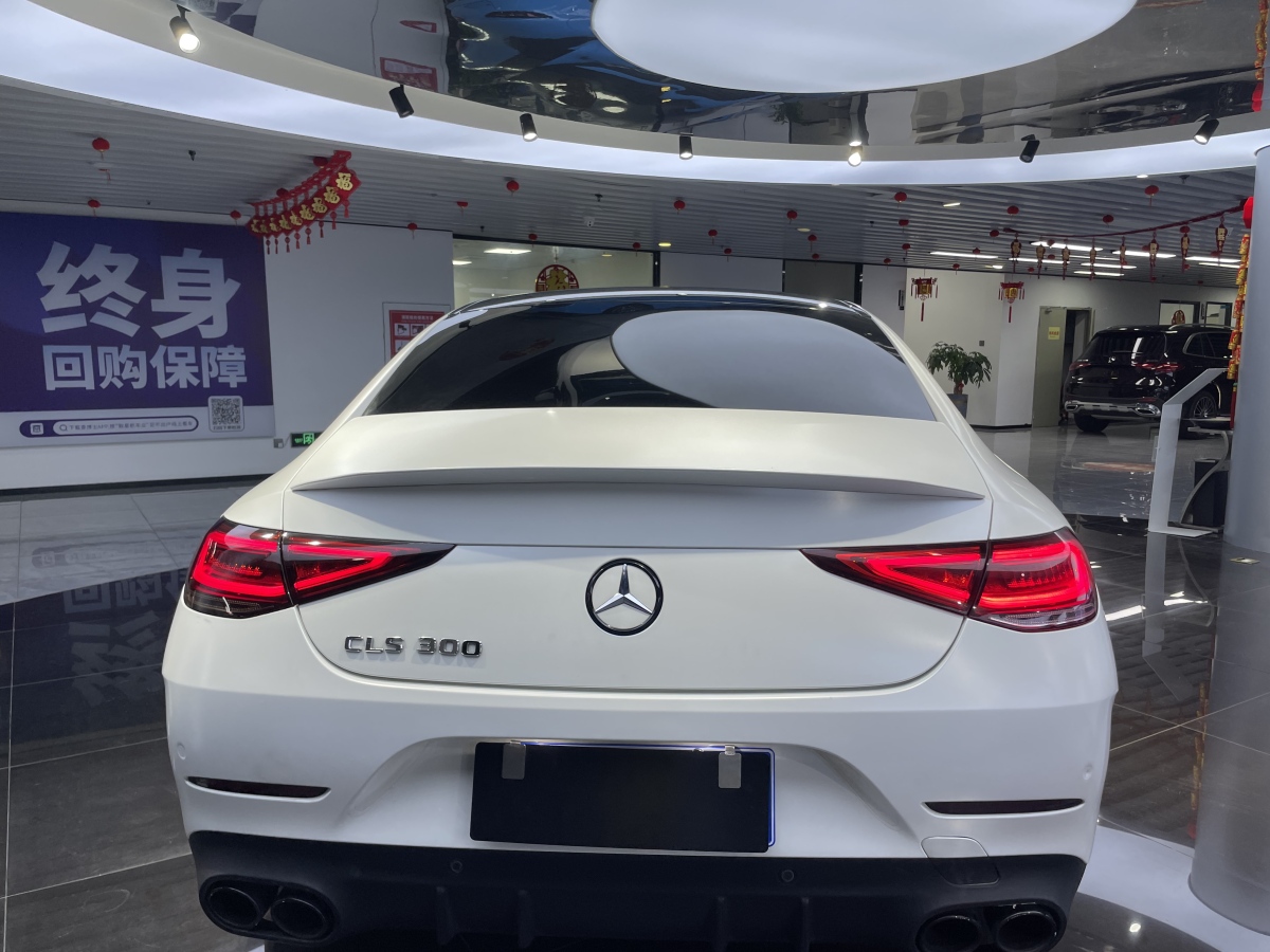 奔馳 奔馳CLS級(jí)  2018款 CLS 300 豪華型圖片