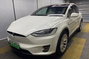 Model X 特斯拉 Model X 100D 长续航版