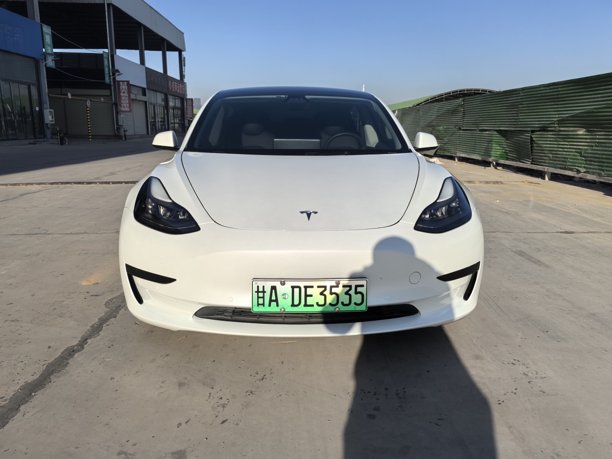 特斯拉 Model 3  2019款 標(biāo)準(zhǔn)續(xù)航后驅(qū)升級版圖片