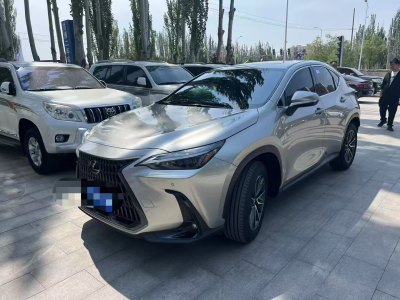 2023年10月 雷克薩斯 NX 260 前驅(qū) 創(chuàng)悅版圖片