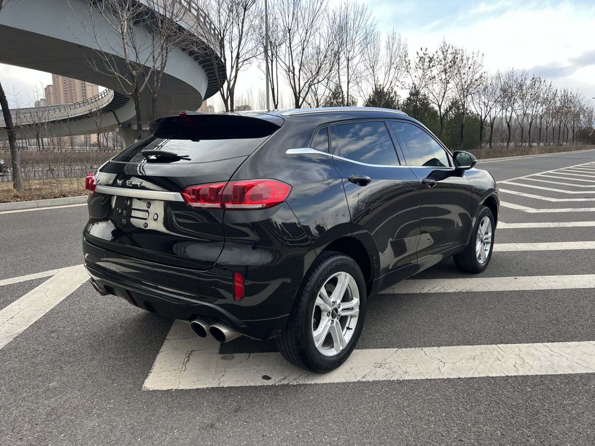 WEY VV5  2019款  1.5T 兩驅(qū)顏先鋒圖片