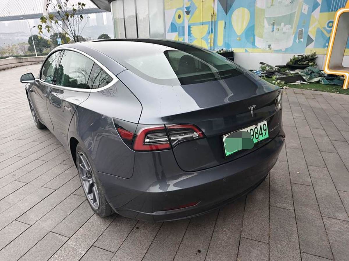 特斯拉 Model 3  2019款 標(biāo)準(zhǔn)續(xù)航后驅(qū)升級版圖片