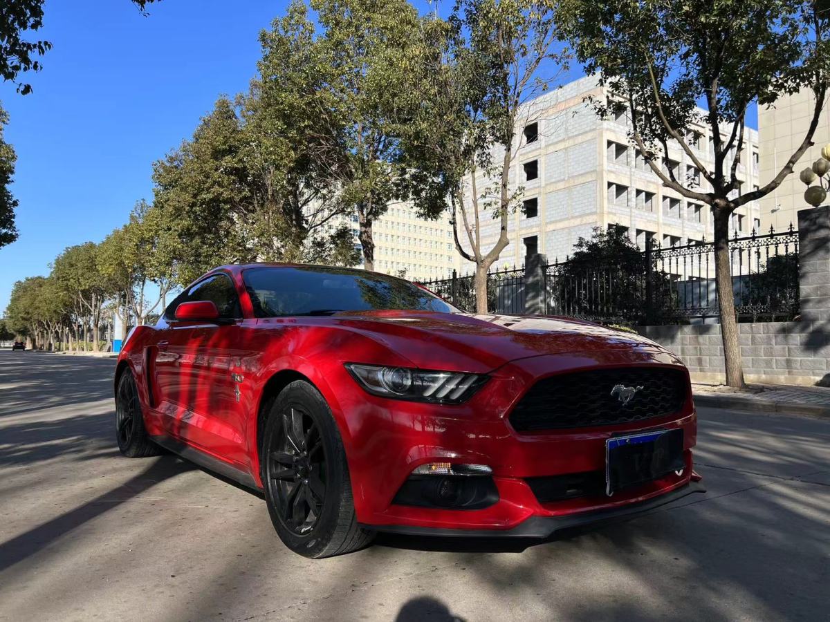 福特 Mustang  2016款 2.3T 性能版圖片