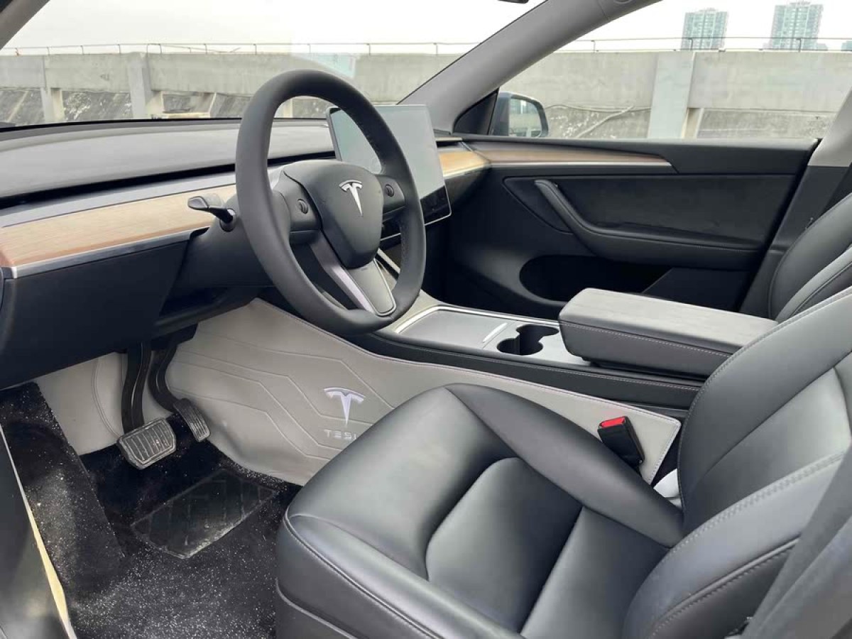 特斯拉 Model Y  2021款 改款 長(zhǎng)續(xù)航全輪驅(qū)動(dòng)版圖片