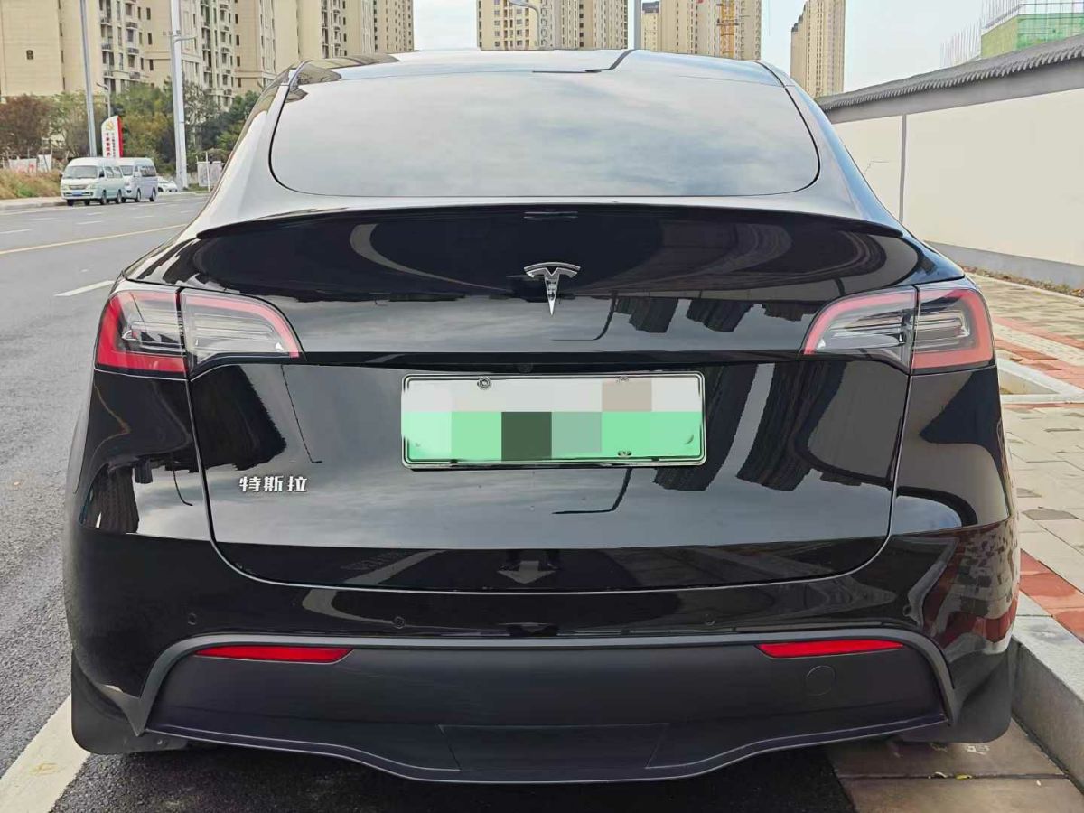 特斯拉 Model Y  2024款 Performance高性能版圖片