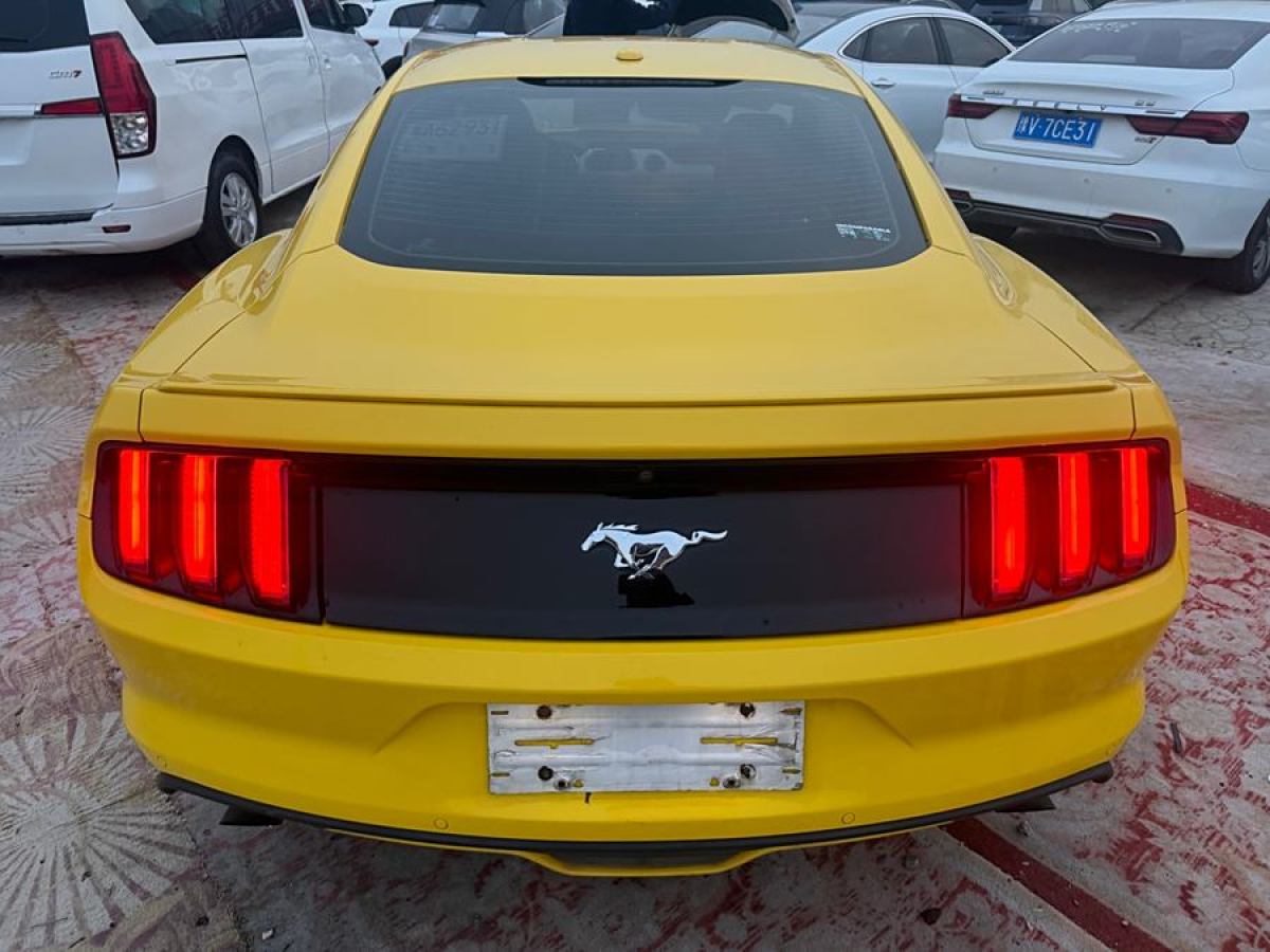 福特 Mustang  2015款 2.3T 性能版圖片