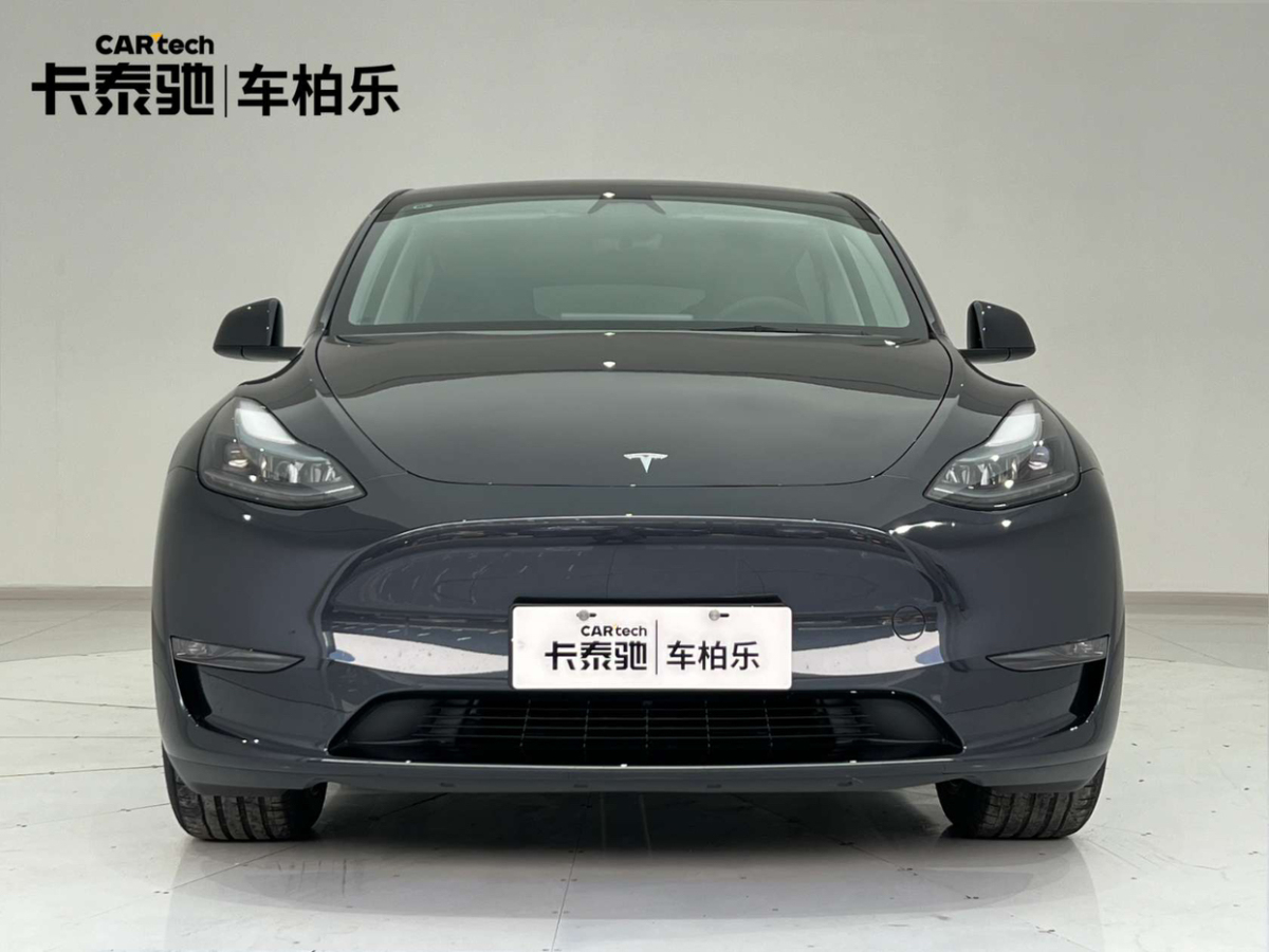 2024年10月特斯拉 Model 3  2024款 長續(xù)航全輪驅動版