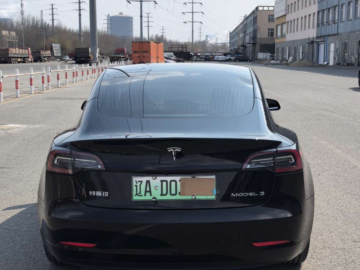 2020年6月特斯拉 Model 3  2020款 標(biāo)準(zhǔn)續(xù)航后驅(qū)升級(jí)版