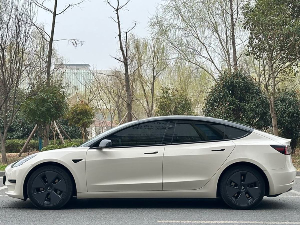 特斯拉 Model 3  2021款 改款 標(biāo)準(zhǔn)續(xù)航后驅(qū)升級(jí)版圖片