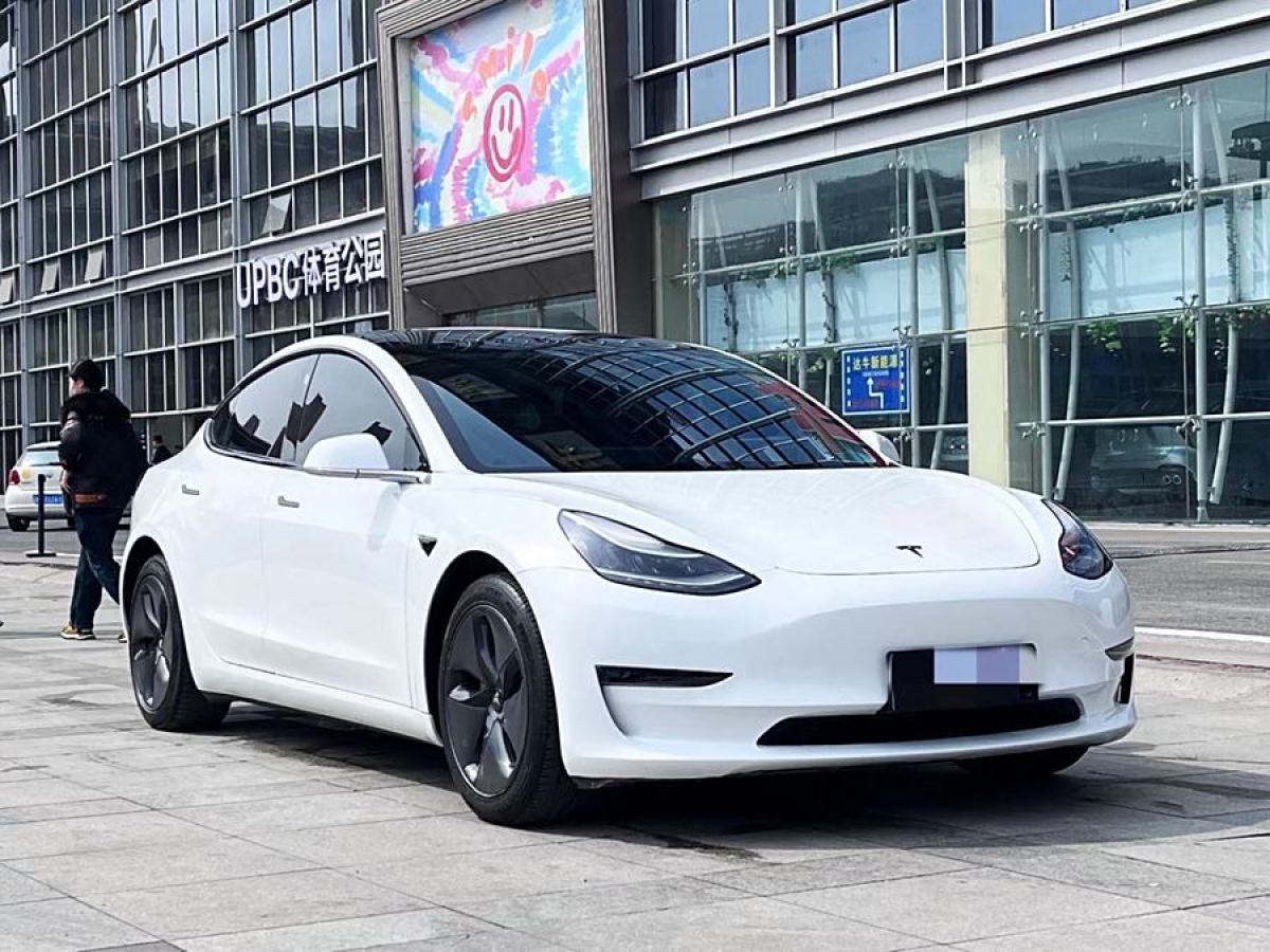 特斯拉 Model 3  2019款 長續(xù)航全輪驅(qū)動版圖片