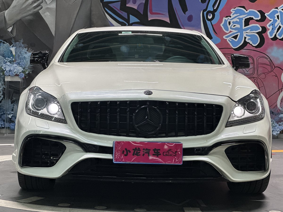 奔馳 奔馳CLS級(jí)  2012款 CLS 300 CGI圖片