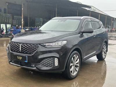 2020年4月 WEY VV6 2.0T 两驱智享+图片