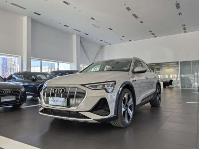 2021年12月 奧迪 奧迪e-tron(進(jìn)口) Sportback 55 quattro 臻選型圖片