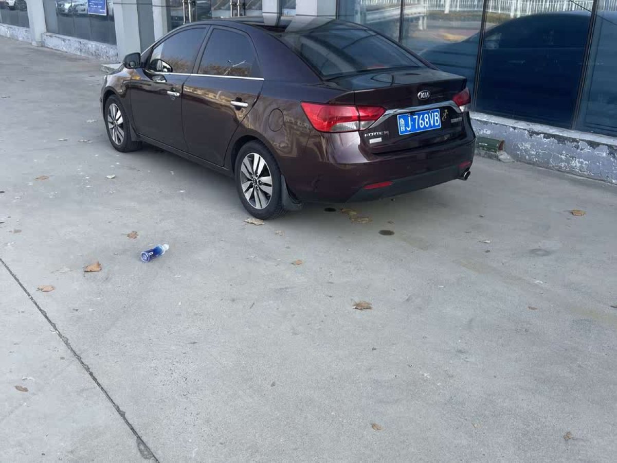 起亞 福瑞迪  2014款 1.6L AT Premium圖片