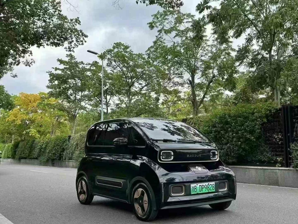 寶駿 五菱榮光S  2022款 1.2L標(biāo)準(zhǔn)型封窗車助力版2座LSI圖片