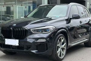 寶馬X5 寶馬 xDrive40i 尊享型 M運(yùn)動(dòng)套裝