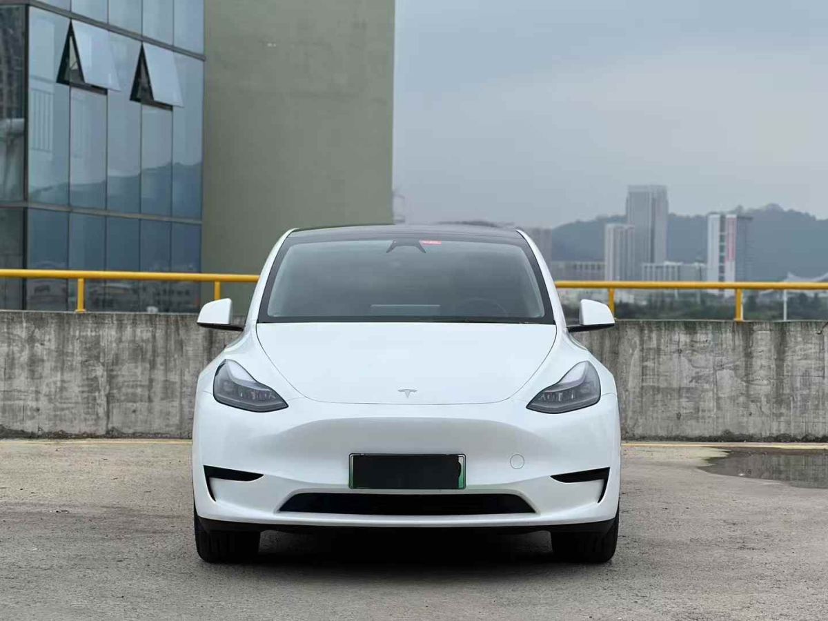 特斯拉 Model Y  2024款 Performance高性能版圖片