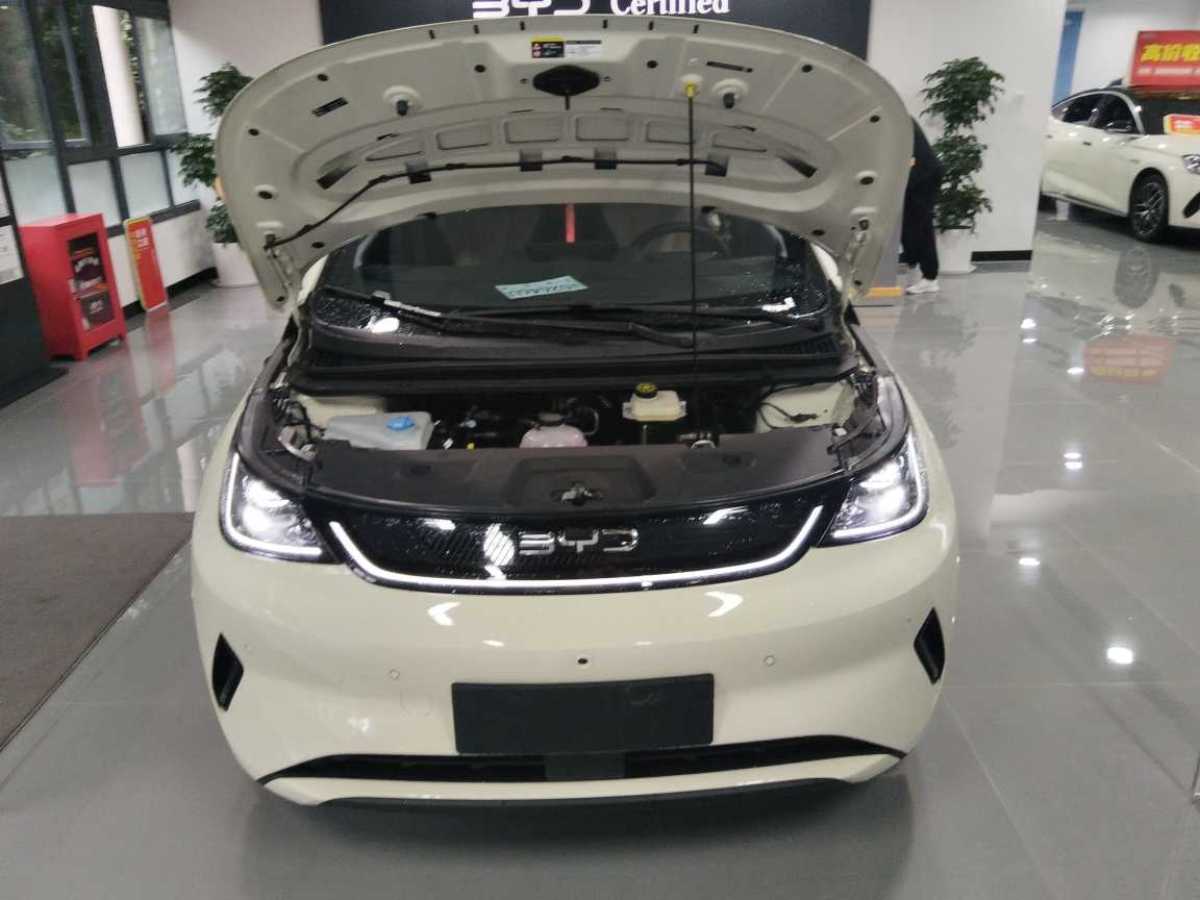 比亞迪 海豚  2025款 智駕版 410km 時(shí)尚版圖片